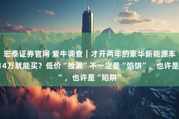 宏泰证券官网 紫牛调查︱才开两年的豪华新能源车，不到14万就能买？低价“捡漏”不一定是“馅饼”，也许是“陷阱”